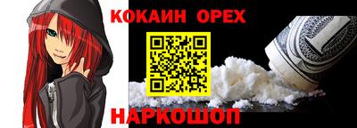 индика Можга