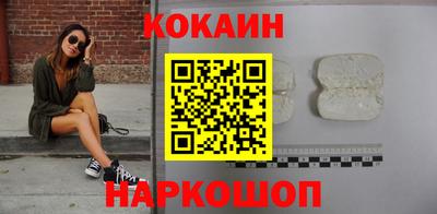 индика Можга