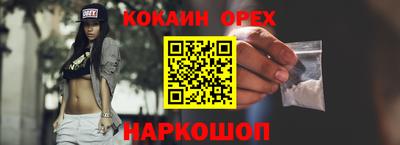индика Можга