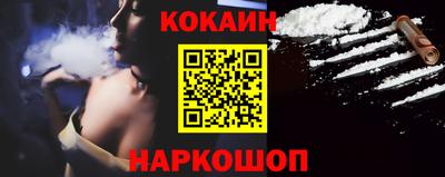 индика Можга
