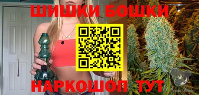 индика Можга