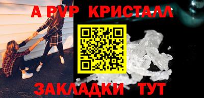 индика Можга