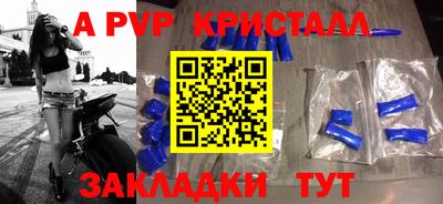 индика Можга