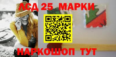 индика Можга