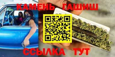 индика Можга