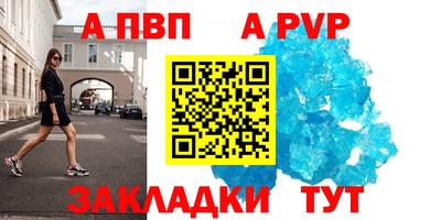 индика Можга