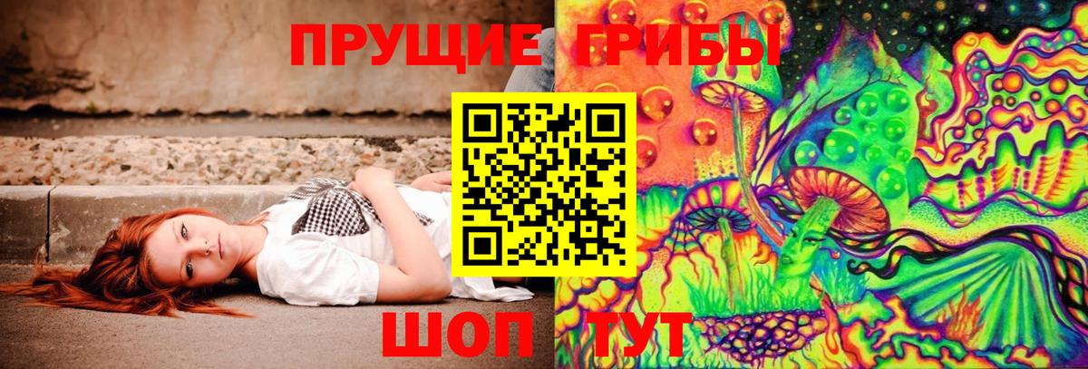 Великие Луки  где купить наркотик  Вход с VPN  Псилоцибиновые грибы Psilocybine cubensis 