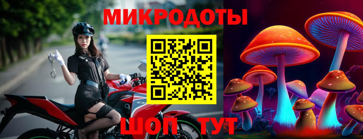 Псилоцибиновые грибы мицелий Великие Луки